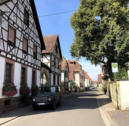 Schoenes Mit Kueche, Frisch Renoviert * Walsheim